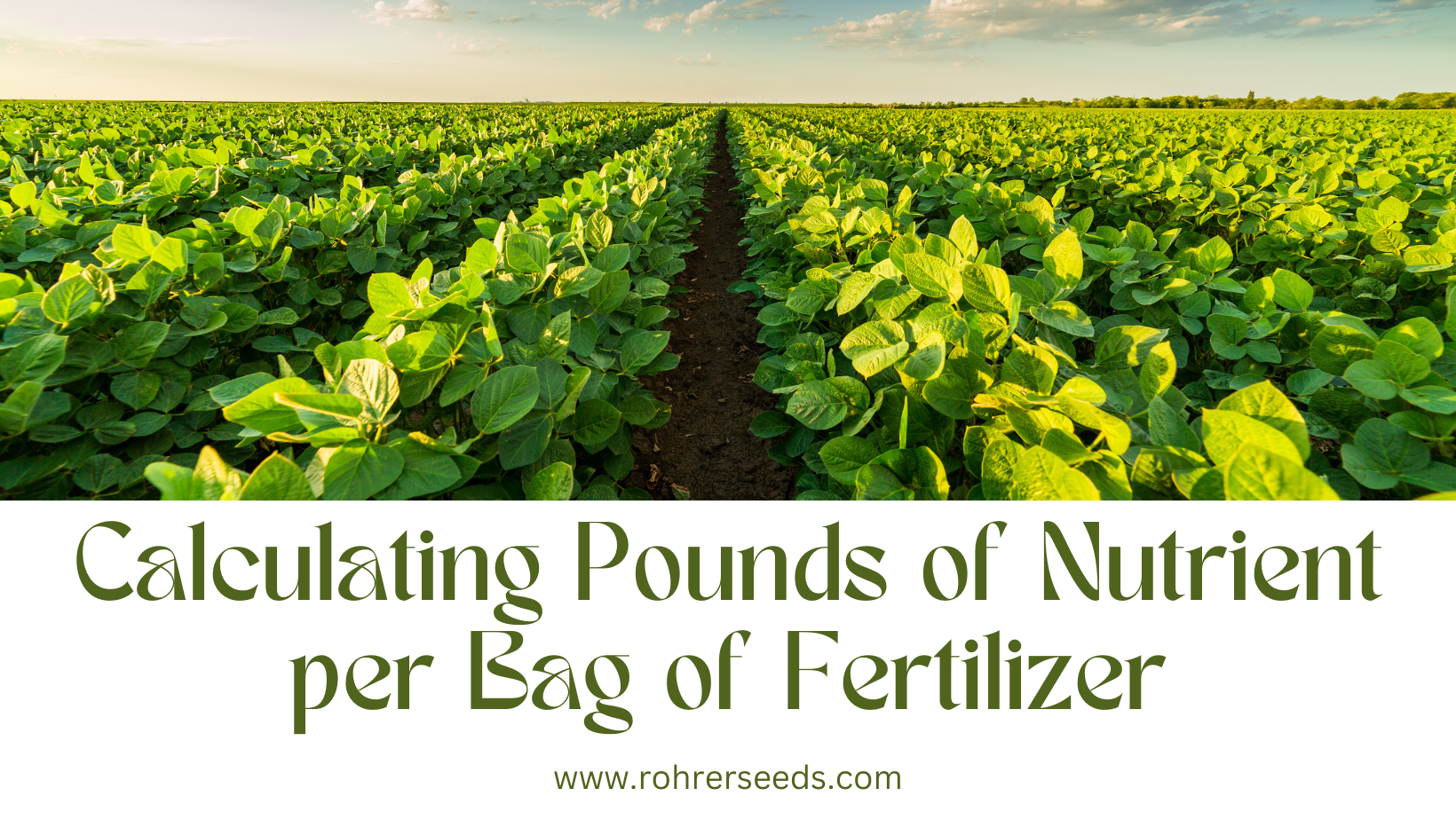 Calculating Pounds of Nutrient per Bag of Fertilizer