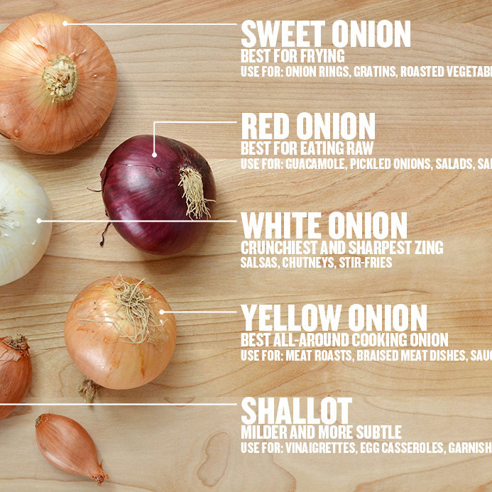 How to Grow Onions!