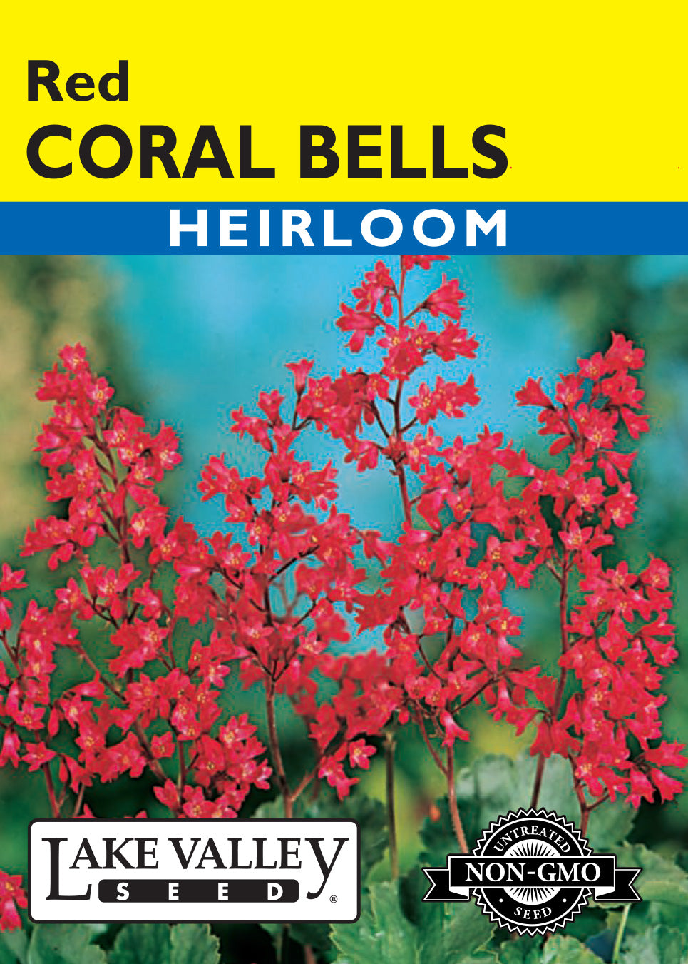 Coral Bells Heuchera