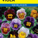 Bambini Mix Viola (Pkt)