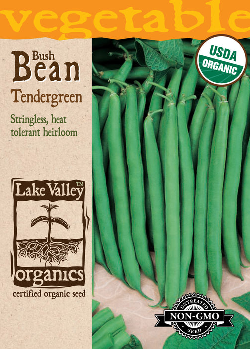 Organic Tendergreen Bean (Pkt)