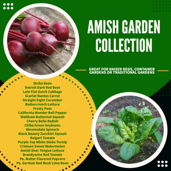 Amish Garden Collection, 8,000+ Seeds