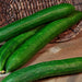 Tasty Green Hybrid Cucumber Seeds