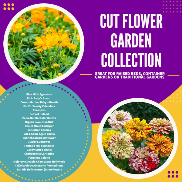 Cut Flower Garden Collection, 5,500+ Seeds