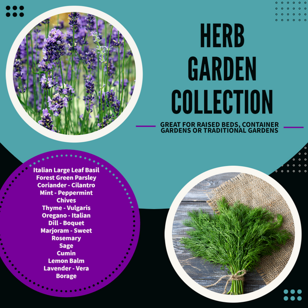Herb Garden Collection, 9000+ Seeds
