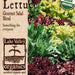 Organic Gourmet Salad Blend Lettuce (Pkt)