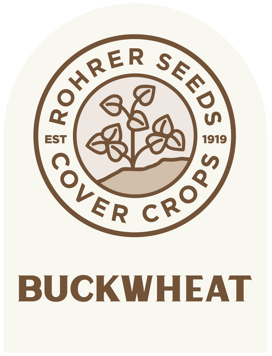Buckwheat (4 lbs.) Cover Crop Seeds