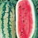 Georgia Rattlesnake Watermelon