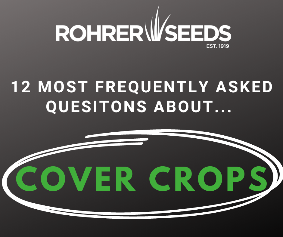 12 Most FAQs About Cover Crops
