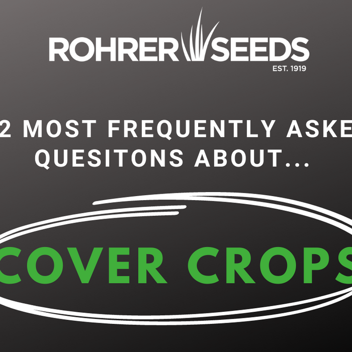 Cover Crop FAQ's 