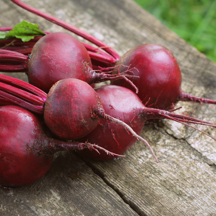 Beets! Beets! Beets! Growing and using beets grown from seed.