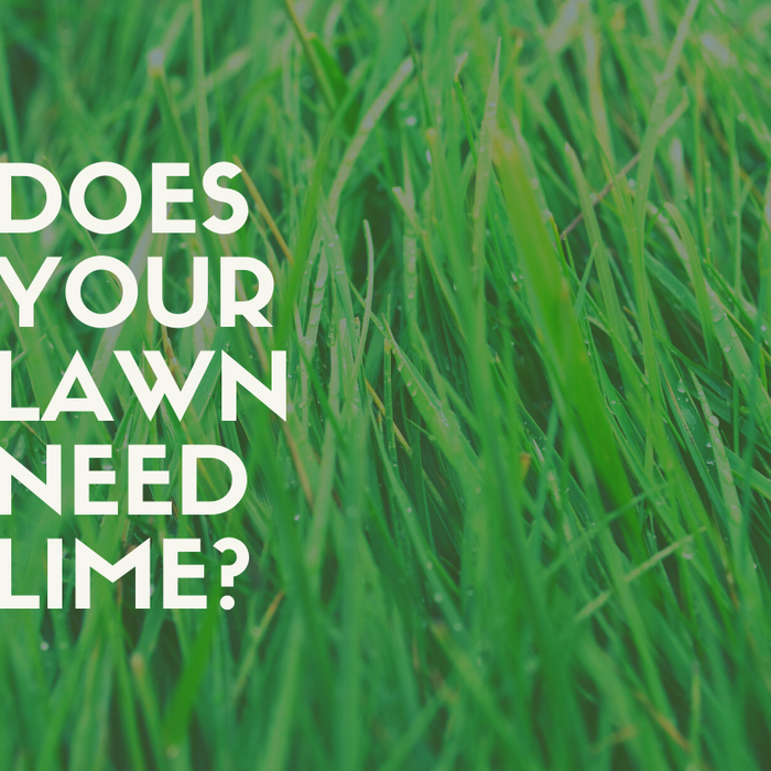 Applying Lime to Your Lawn