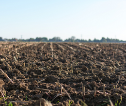A Guide to Soil Health