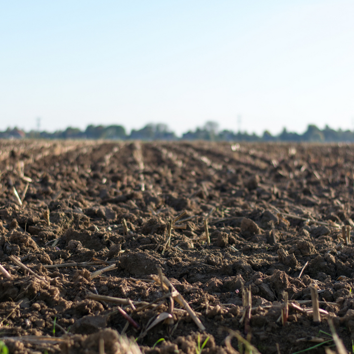 A Guide to Soil Health