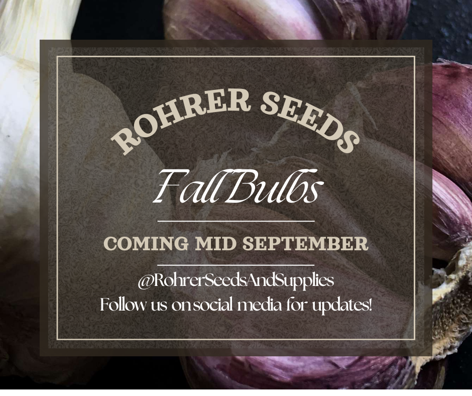 Fall Store News: Garlic Bulbs & More Coming in September!