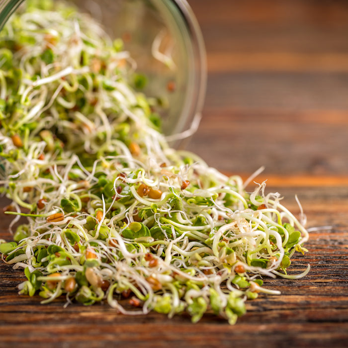 Microgreens vs. Sprouting Seeds
