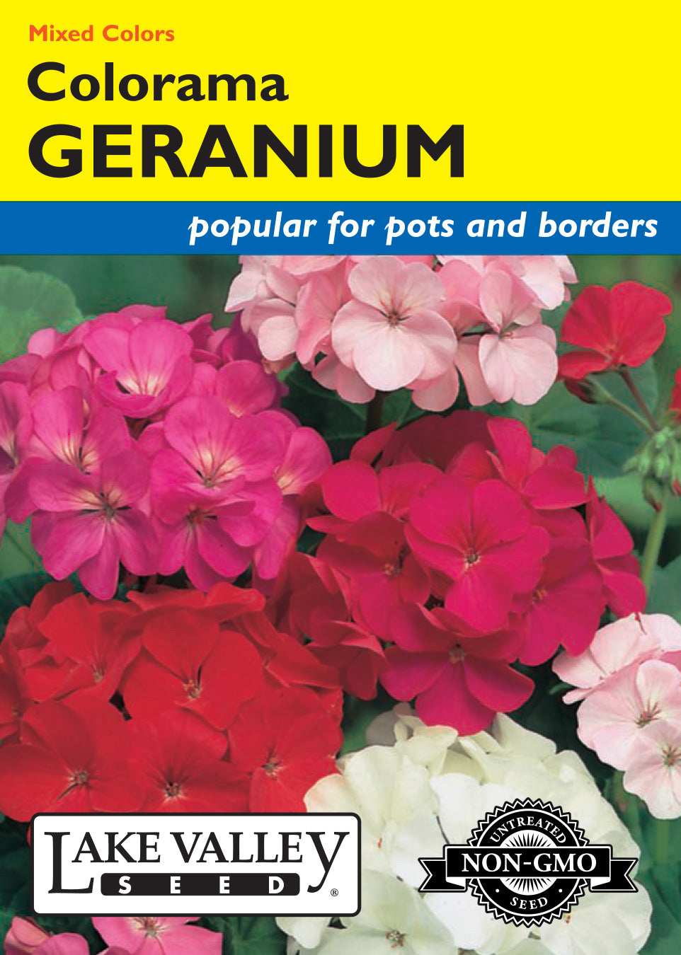 Geranium — Rohrer Seeds