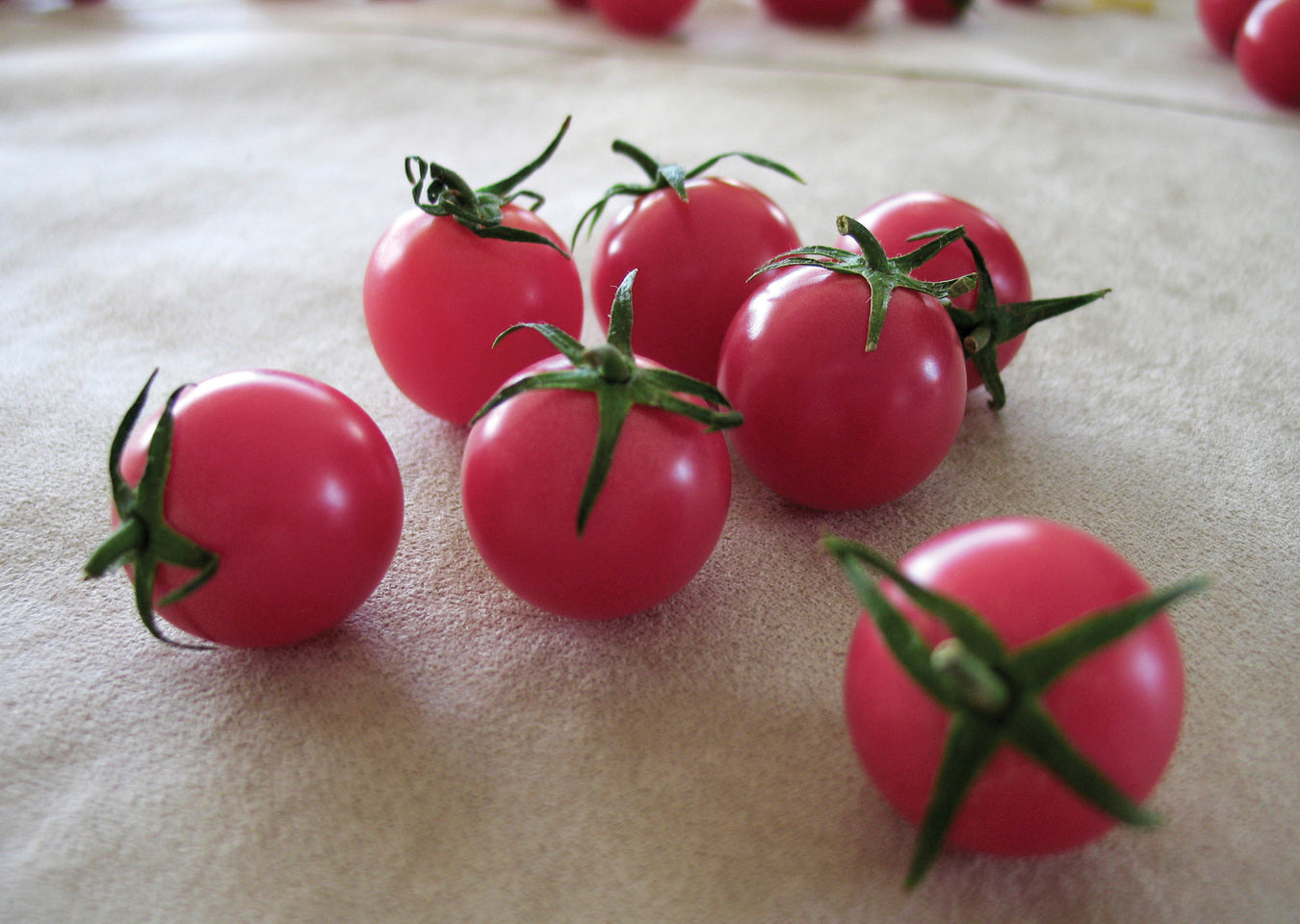 Cherry/ Grape Tomato Seeds