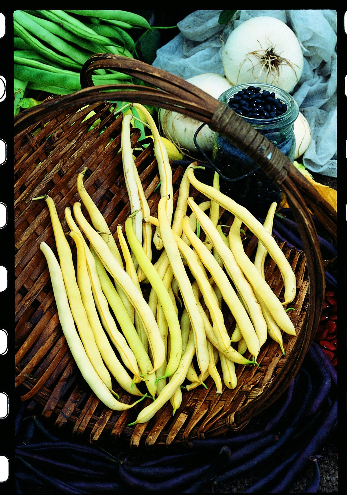 Beans — Rohrer Seeds
