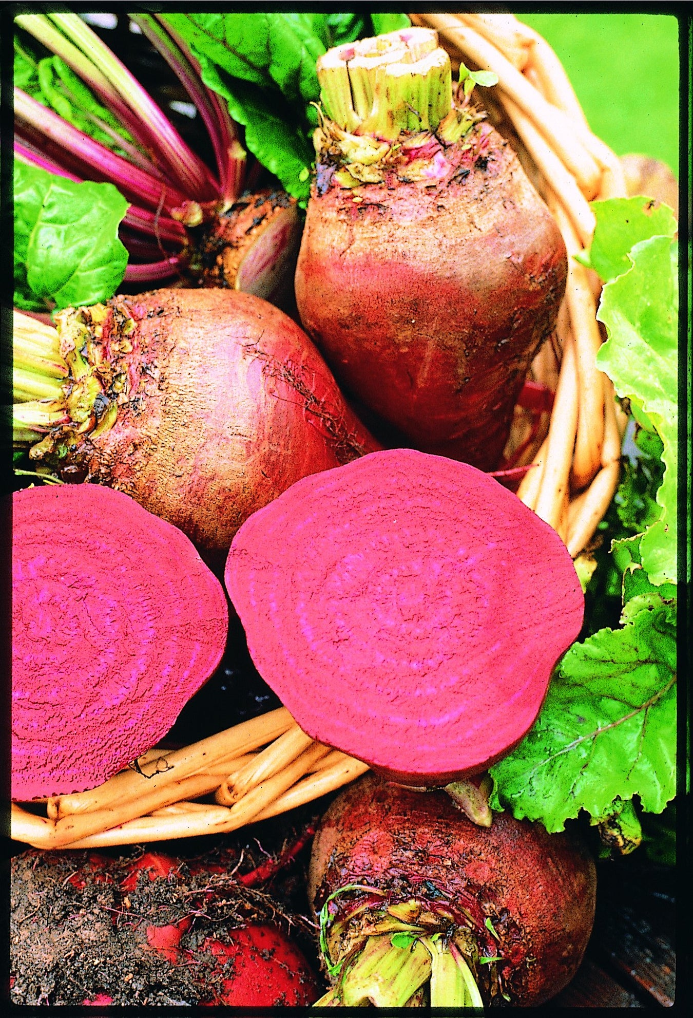 Beets