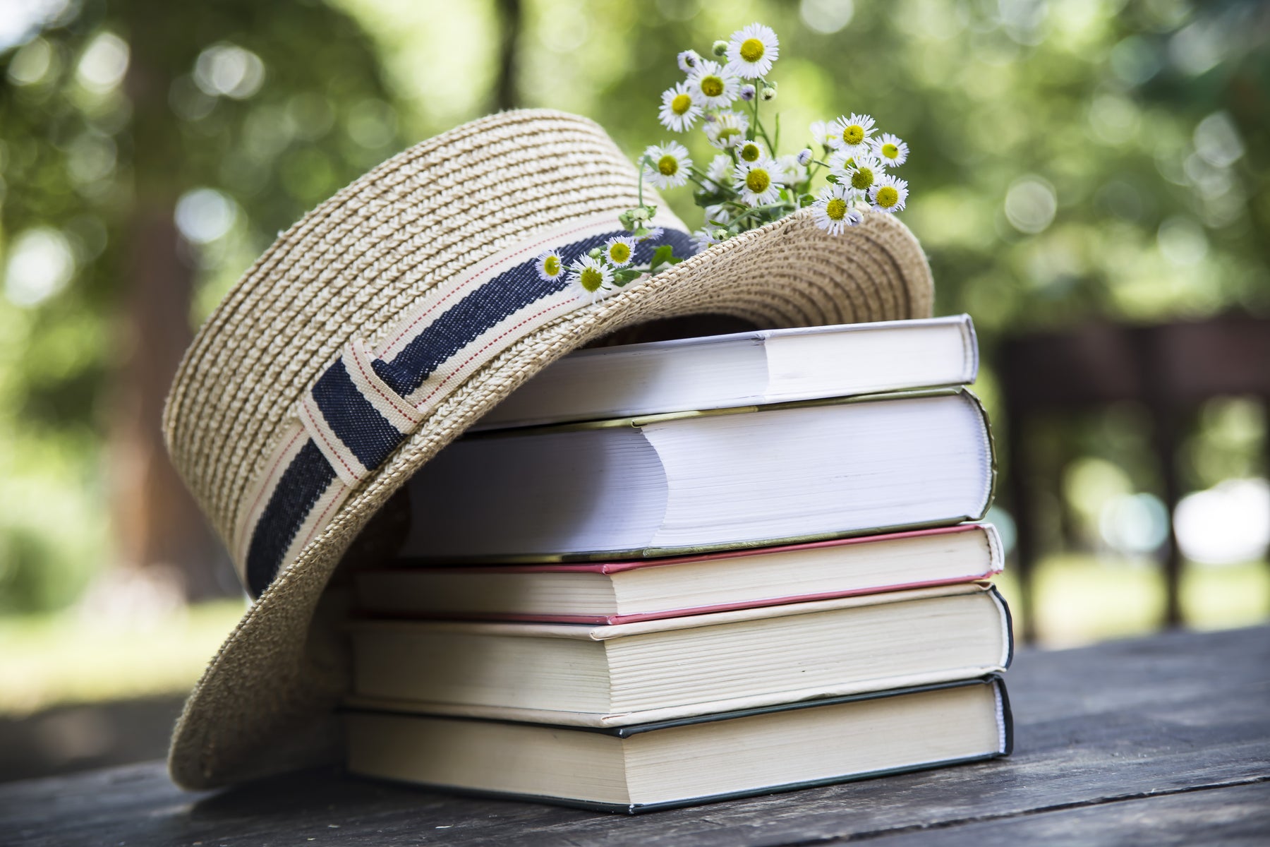 Free Seed Catalog — Rohrer Seeds Catalog