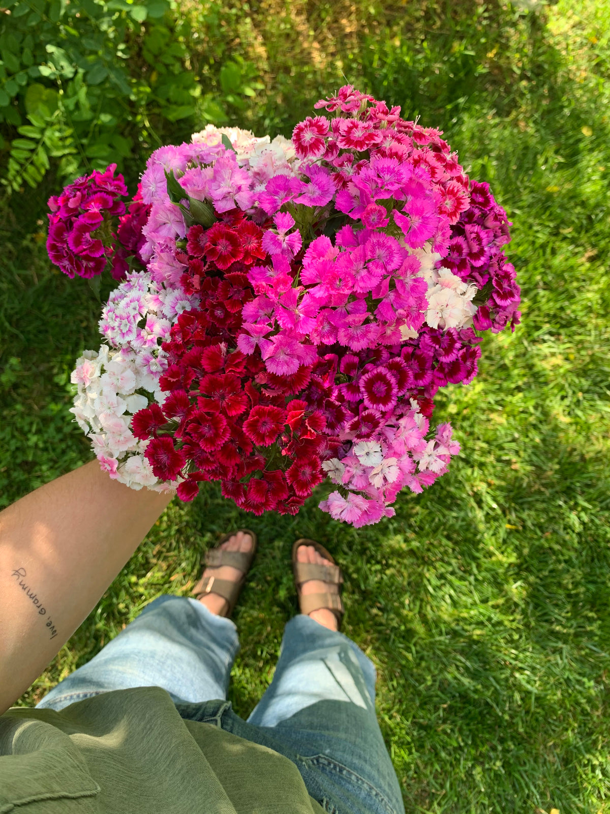 IMG_1688_1_becafdc5-f1ae-4150-