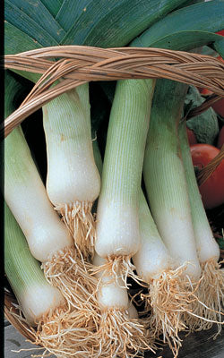 Leek Seeds