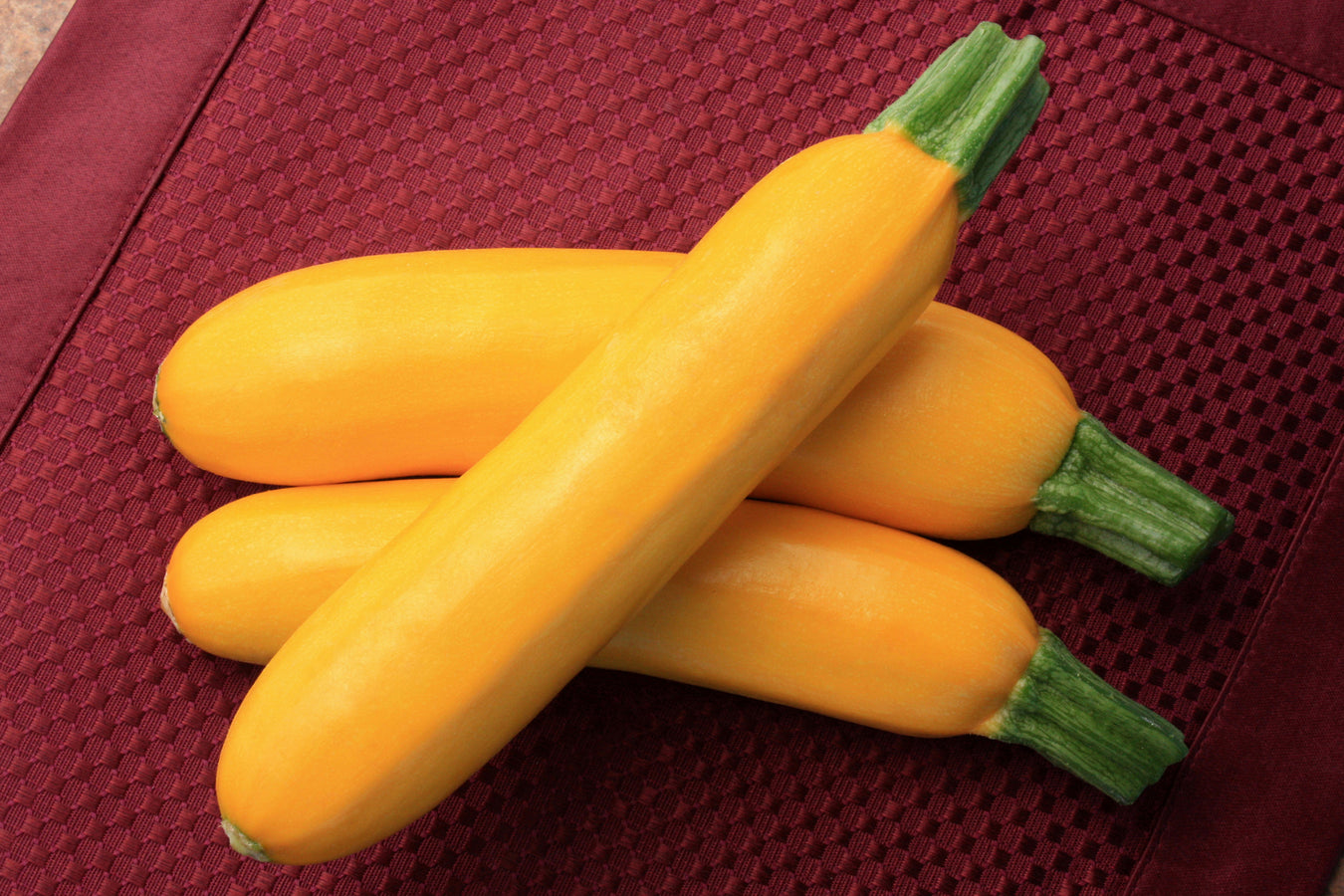 Squash Seeds