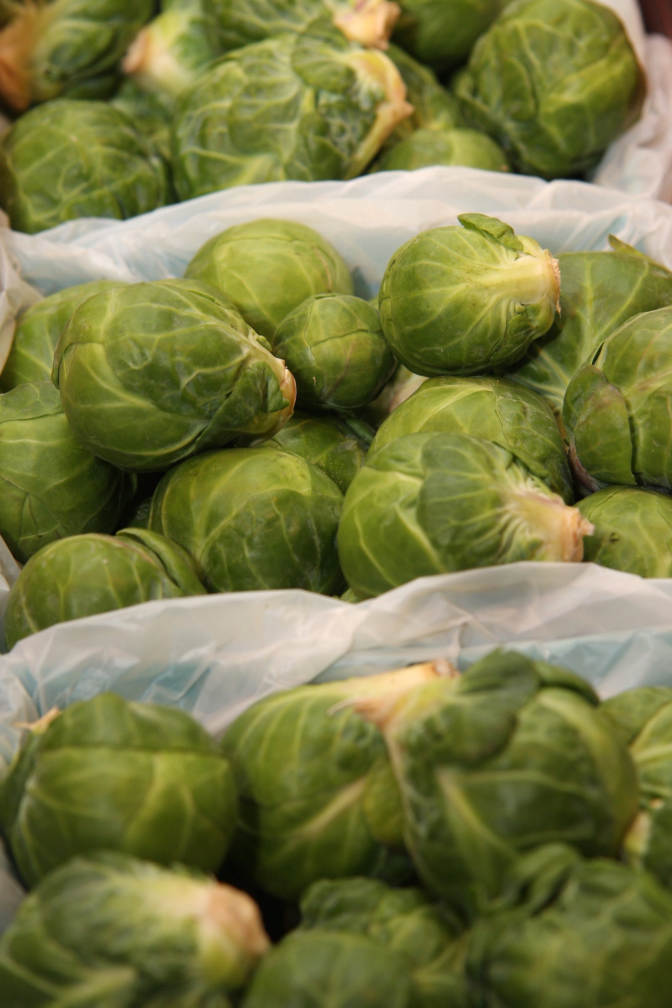 Brussels Sprouts