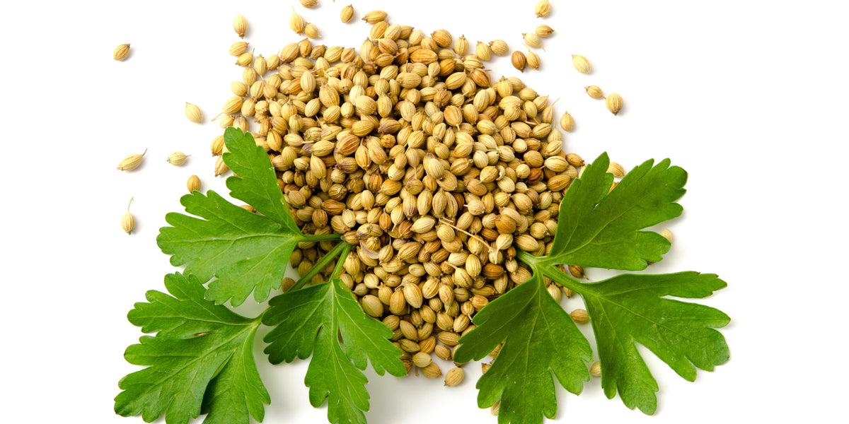 herbs_1200x600_crop_center.jpg