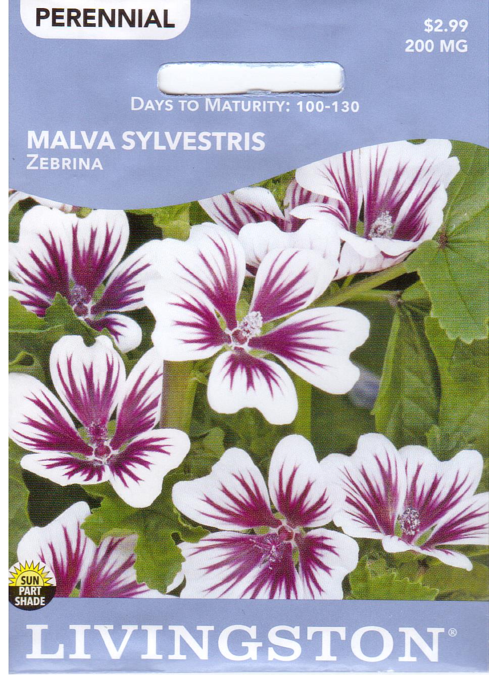 Malva Roots Malva — Rohrer Seeds