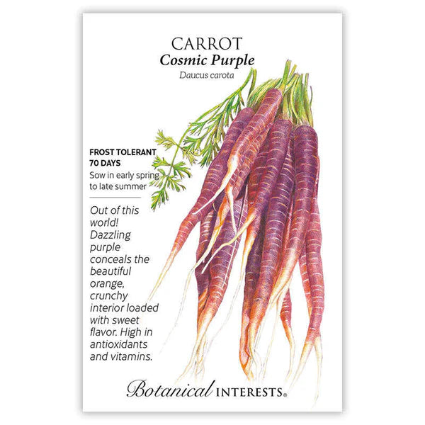 Cosmic Purple Carrot