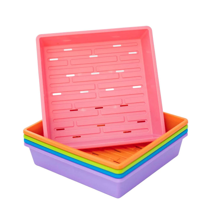 BSF 1010 Color Tray w/Holes