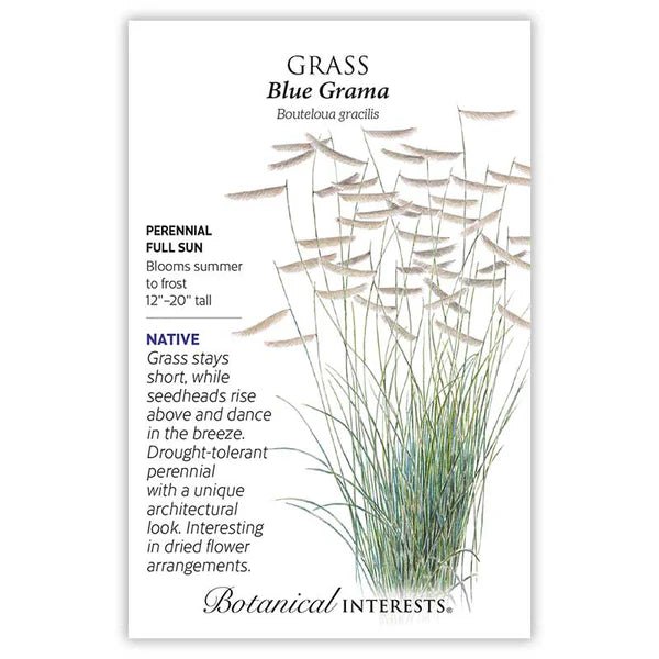 Blue Grama Grass