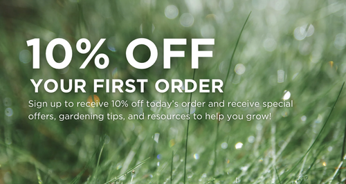Sign up for our newsletter and receive 10% off your first purchase.