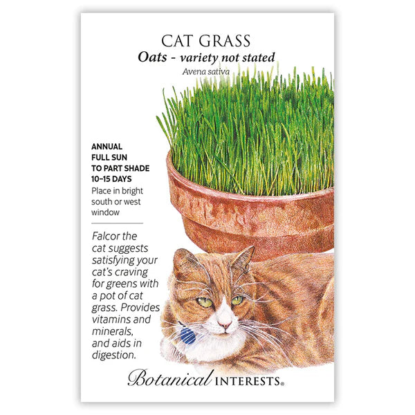 Cat Grass (1,200 Seed Packet)