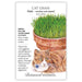 Cat Grass (1,200 Seed Packet)