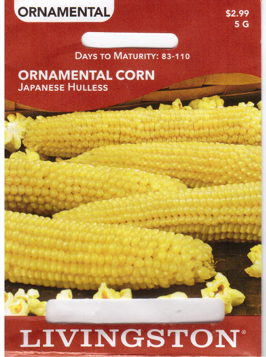 Japanese Hulless Popcorn