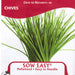 Chives - Pelletized Seed