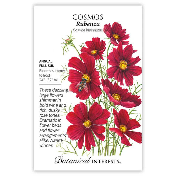 Cosmos Rubenza