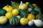 Small Fruited Mixed Gourds