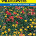 Dry Land Wildflower Mix (Value Pkt)