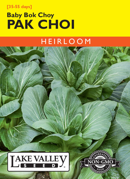 Pak Choi Baby Bok Choy