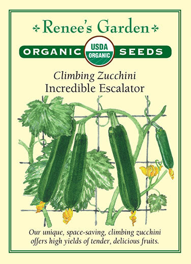 Incredible Escalator Climbing Zucchini (Pkt)