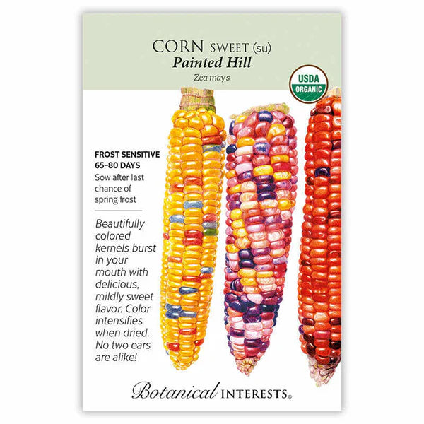 Painted Hill Sweet Corn