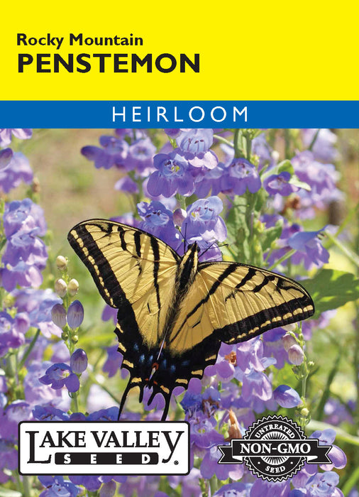 Rocky Mountain Penstemon