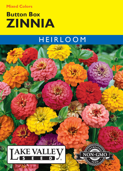 Button Box Zinnia