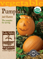 Organic Jack O'Lantern Pumpkin (Pkt)