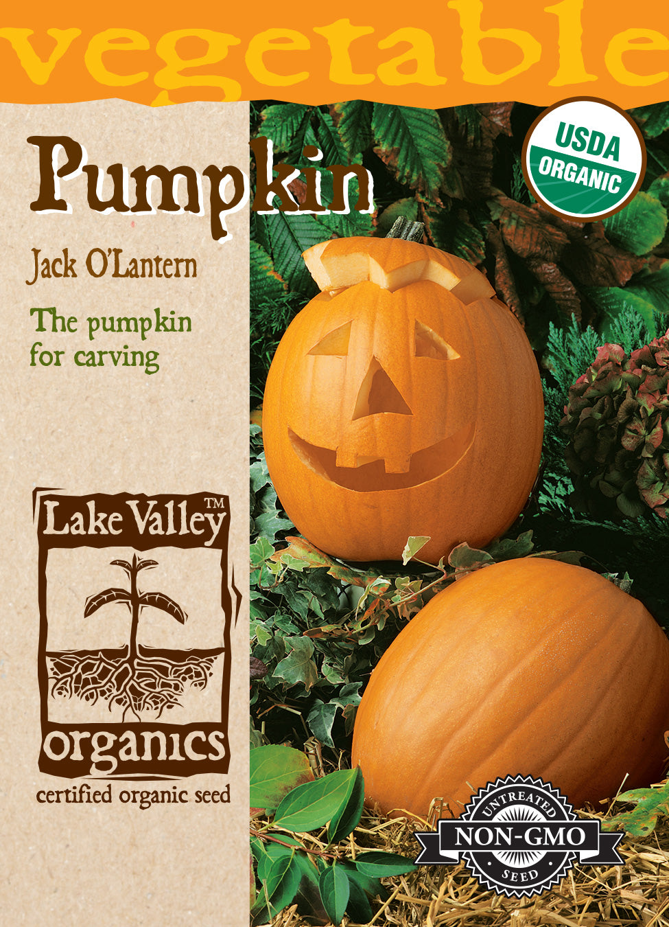 Pumpkins - Organic