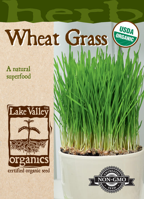 Organic Wheat Grass